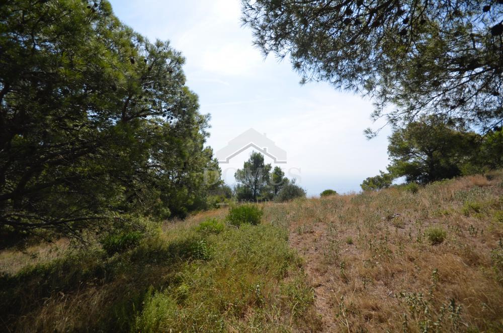 901 Les Magnolies III Building plot Begur Begur 901 Les Magnolies III Building plot Begur Begur