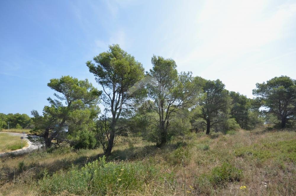 901 Les Magnolies III Building plot Begur Begur 901 Les Magnolies III Building plot Begur Begur