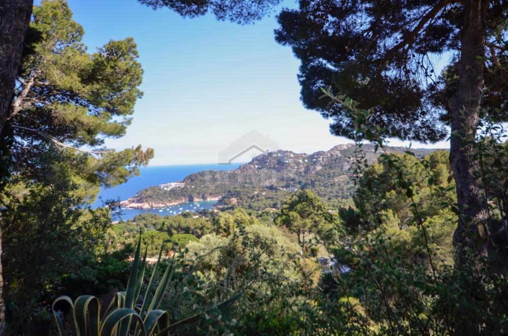 1277 Ses Costes A1, A2 Building plot Aiguablava Begur 1277 Ses Costes A1, A2 Building plot Aiguablava Begur