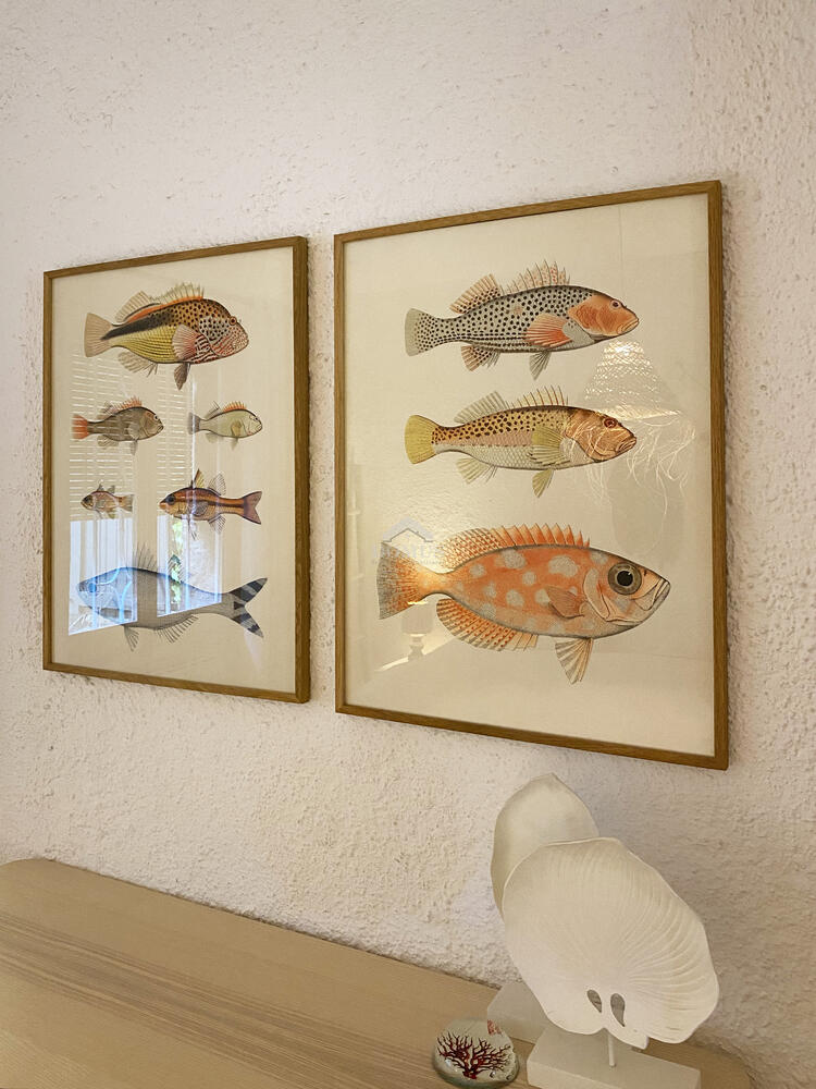 186 Casa Maragall Vrijstaand huis / Villa Residencial Begur Begur 186 Casa Maragall Vrijstaand huis / Villa Residencial Begur Begur