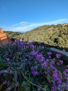 053 Casa Castell Semi-detached house Begur Begur