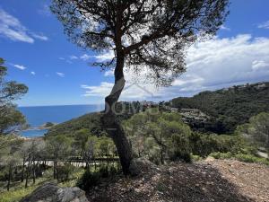 1000 Sa Tuna Vistas Bouwgrond  Begur