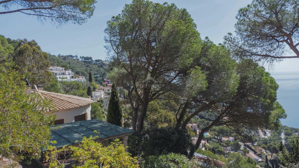 2999-1 Ses Vistes 18 Detached house / Villa Aiguablava Begur 2999-1 Ses Vistes 18 Detached house / Villa Aiguablava Begur