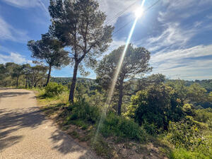 811 Vistas Sa Tuna Building plot Sa Tuna Begur