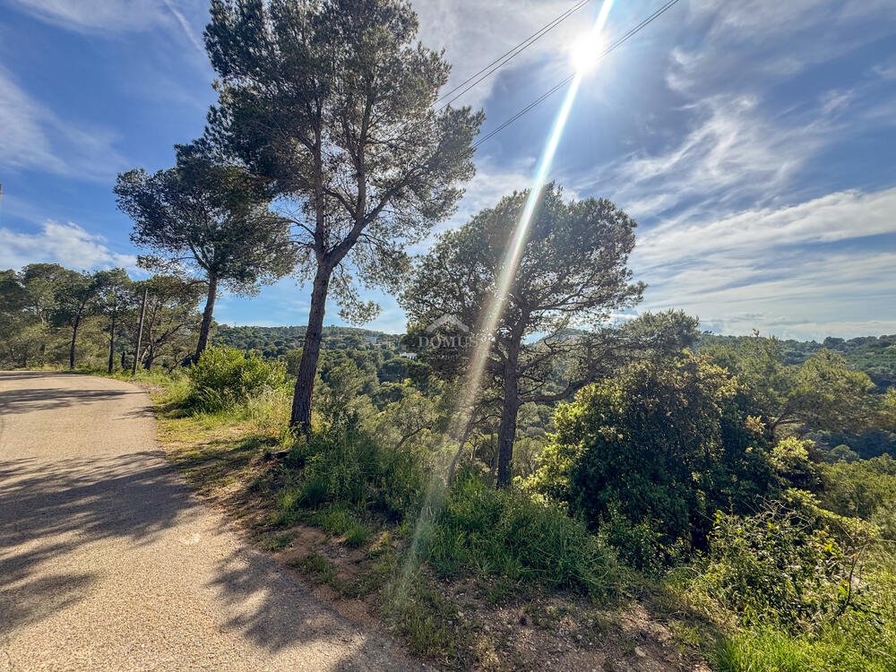 811 Vistas Sa Tuna Building plot Sa Tuna Begur 811 Vistas Sa Tuna Building plot Sa Tuna Begur