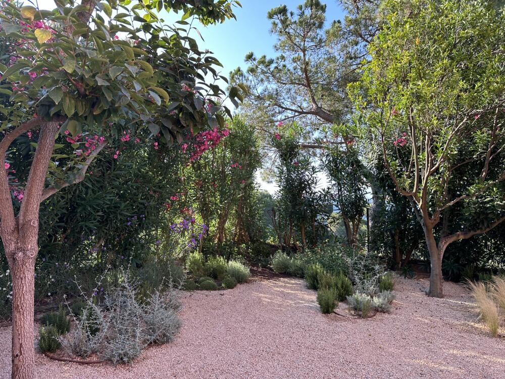 451 Villa Aiguaclara Vrijstaand huis / Villa Aiguablava Begur 451 Villa Aiguaclara Vrijstaand huis / Villa Aiguablava Begur