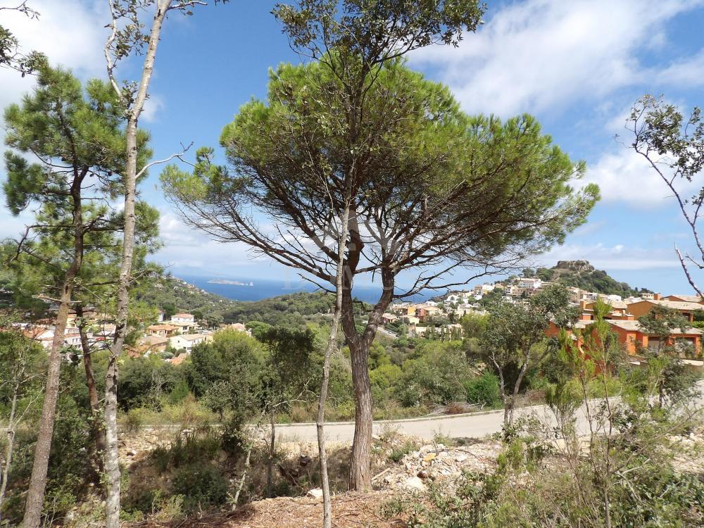 800 SA RODA Building plot Begur 800 SA RODA Building plot Begur