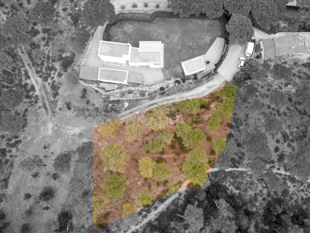 98 PINEDA 1 Building plot Residencial Begur Begur 98 PINEDA 1 Building plot Residencial Begur Begur