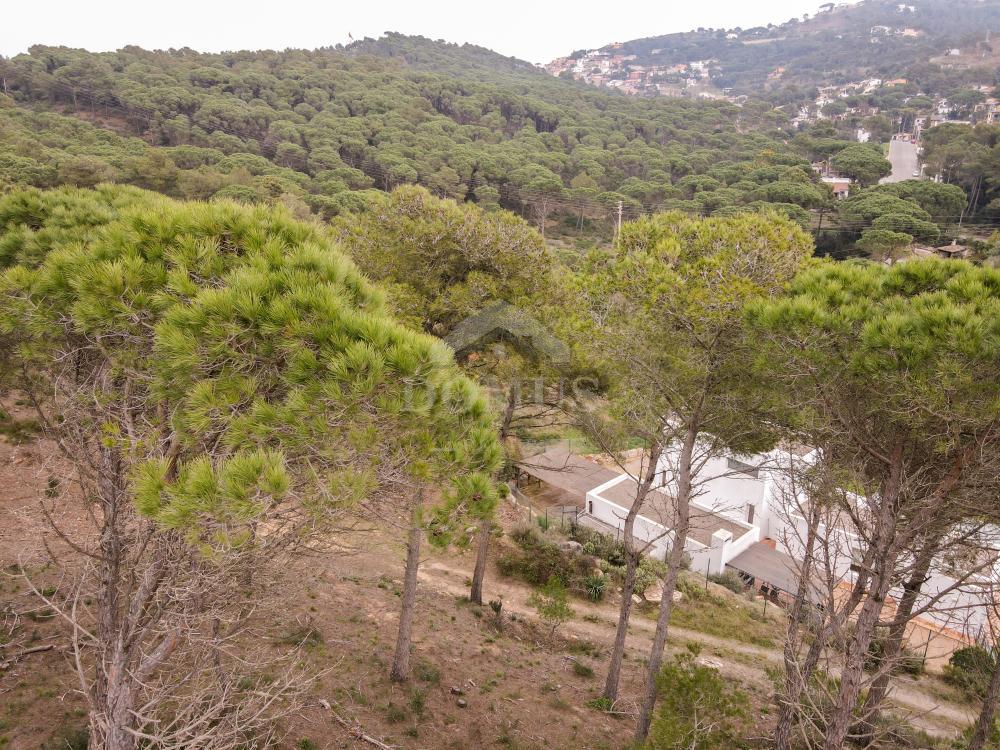 98 PINEDA 1 Building plot Residencial Begur Begur 98 PINEDA 1 Building plot Residencial Begur Begur