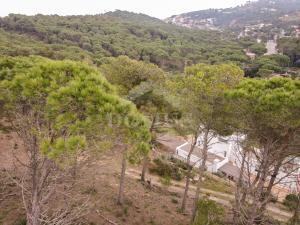 98 PINEDA 1 Building plot Residencial Begur Begur