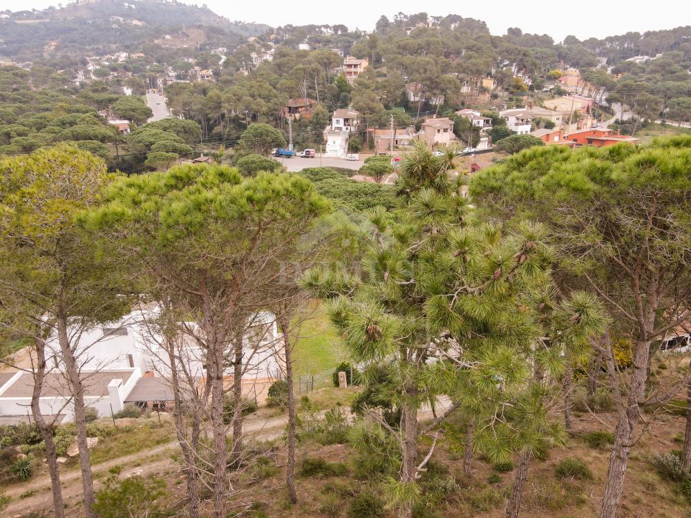 98 PINEDA 1 Building plot Residencial Begur Begur 98 PINEDA 1 Building plot Residencial Begur Begur