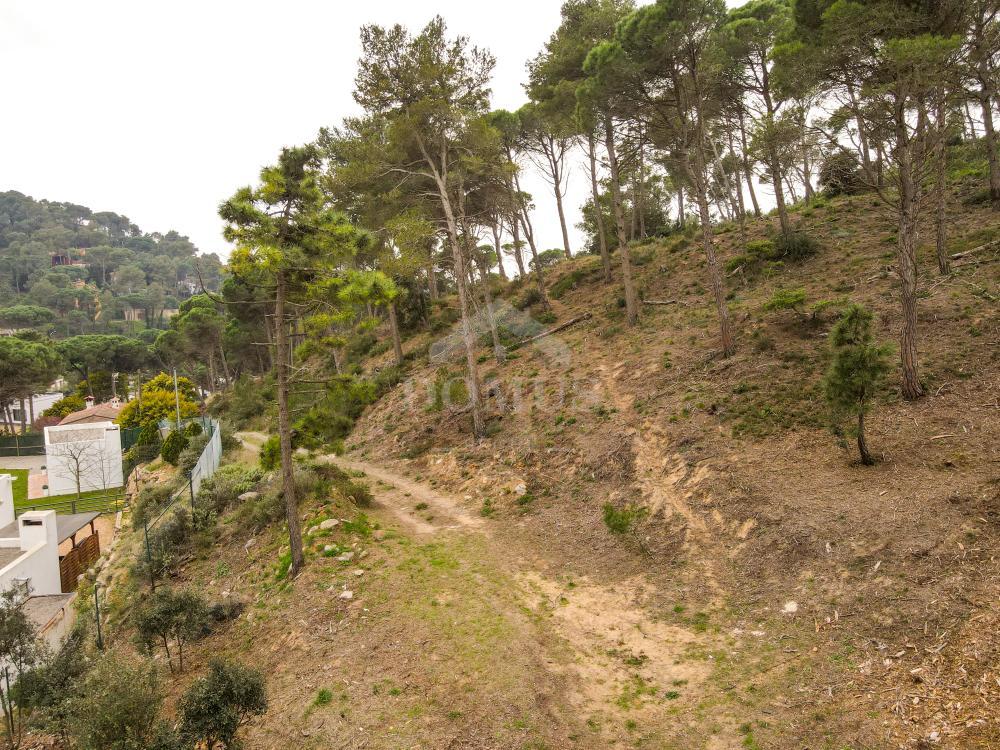 98 PINEDA 1 Building plot Residencial Begur Begur 98 PINEDA 1 Building plot Residencial Begur Begur
