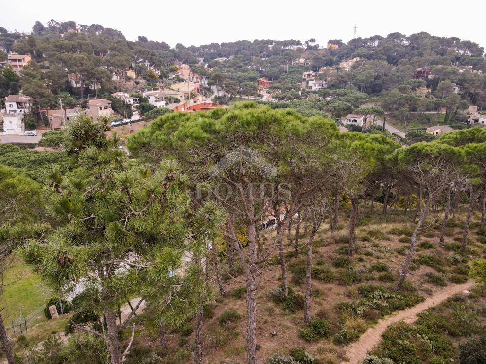 98 PINEDA 1 Building plot Residencial Begur Begur 98 PINEDA 1 Building plot Residencial Begur Begur
