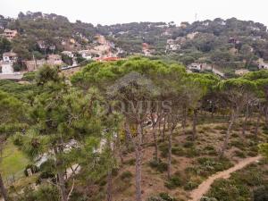 98 PINEDA 1 Building plot Residencial Begur Begur