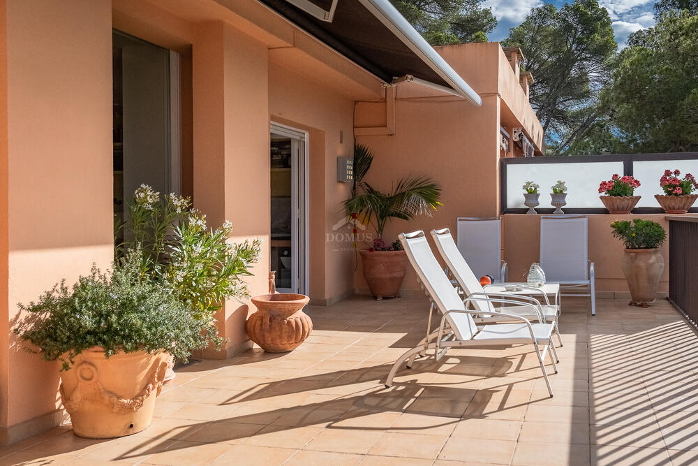 41453 Vista a mar Semi-detached house Llafranc Llafranc 41453 Vista a mar Semi-detached house Llafranc Llafranc