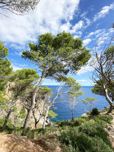 1642 Turó Apartament Sa Tuna Begur