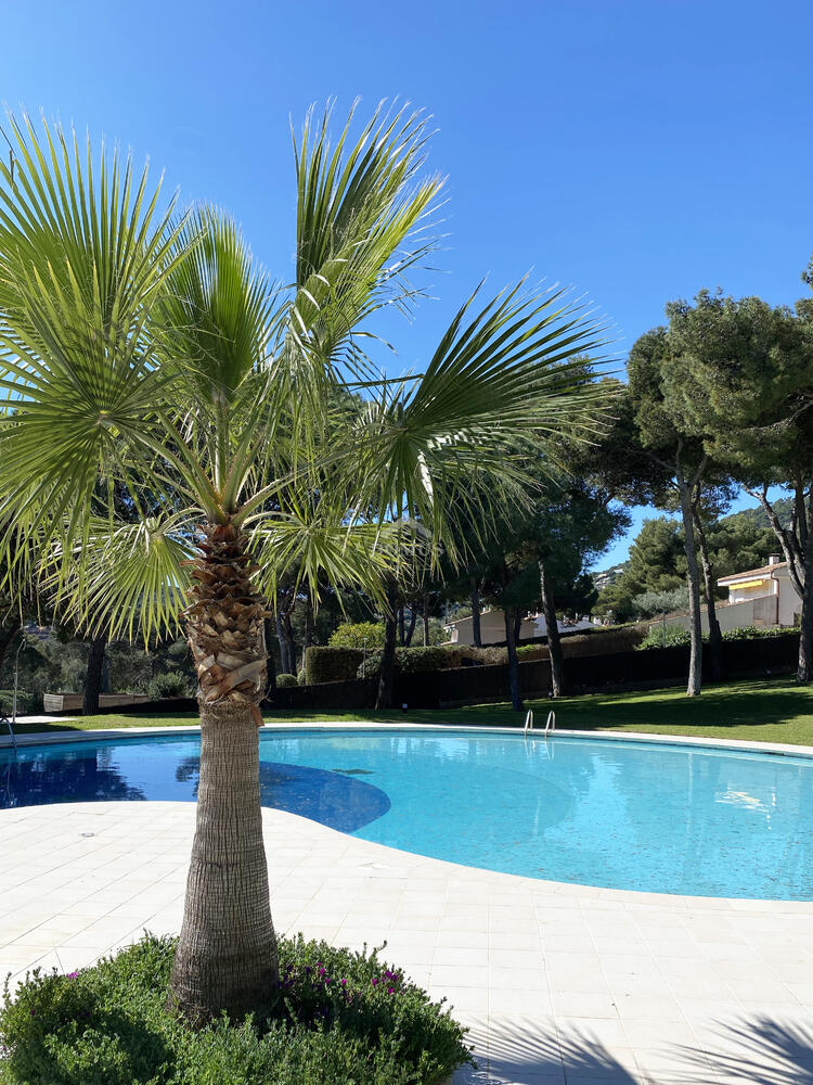 410 Rubí Apartament Aiguablava Begur 410 Rubí Apartament Aiguablava Begur