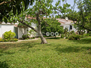 PALMERA PALMERA Casa aislada / Villa  Escala (L')