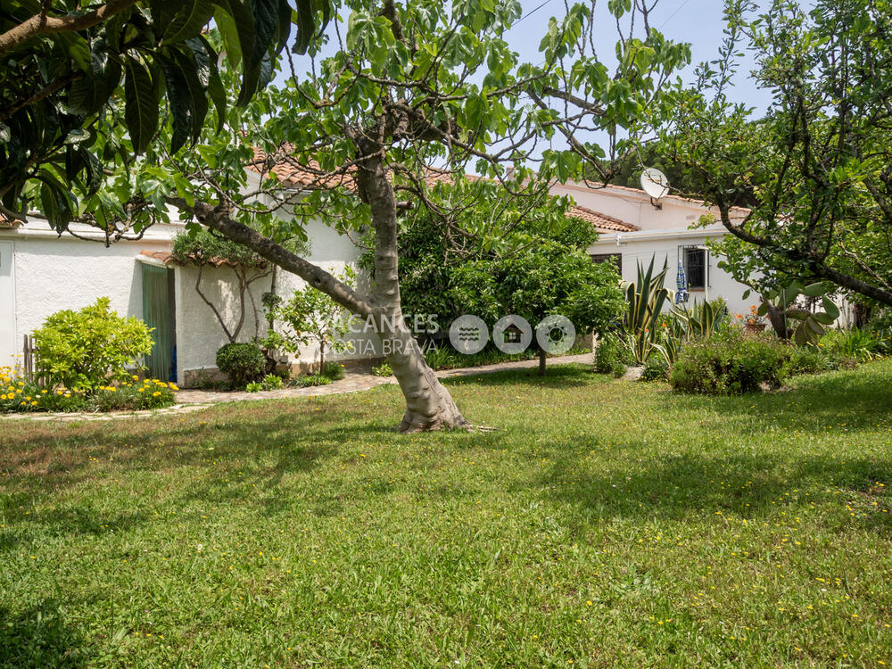 PALMERA PALMERA Casa aislada / Villa Escala (L') PALMERA PALMERA Casa aislada / Villa Escala (L')