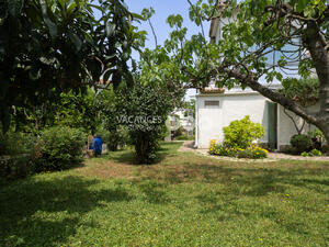 PALMERA PALMERA Casa aislada / Villa  Escala (L')