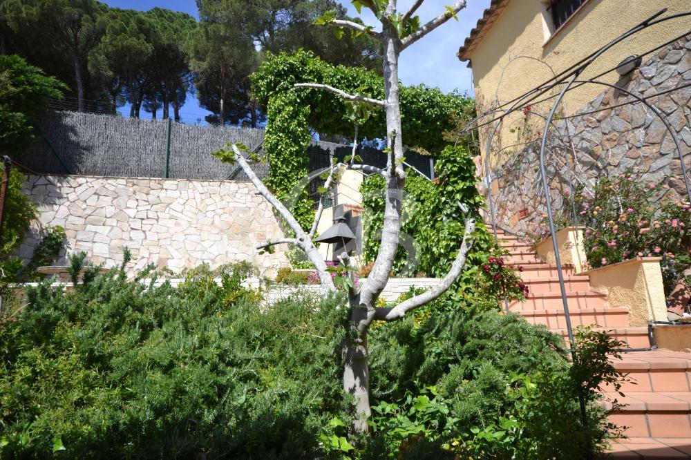 159 FANTASTICA CASA CON PISCINA EN ES VALLS Casa aïllada Begur Begur