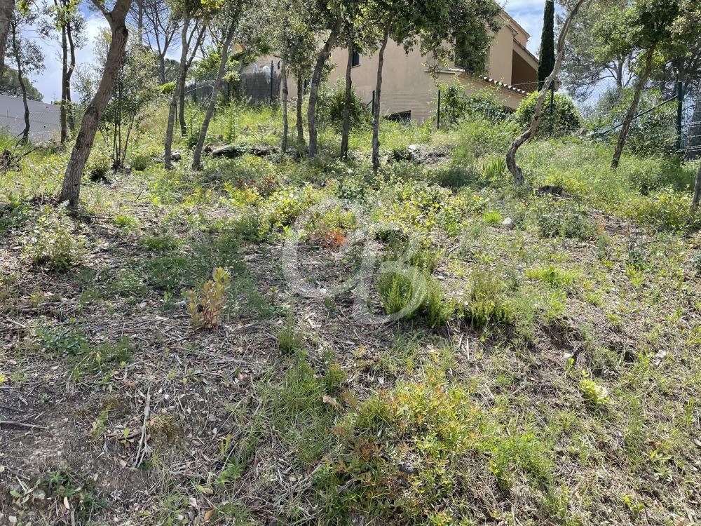 T157 TERRENO EDIFICABLE EN BEGUR Terreno  Begur