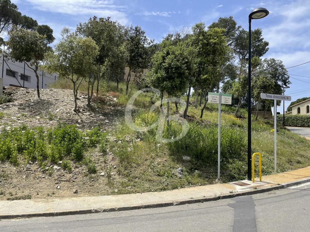 T157 TERRENO EDIFICABLE EN BEGUR Terreno Begur T157 TERRENO EDIFICABLE EN BEGUR Terreno Begur
