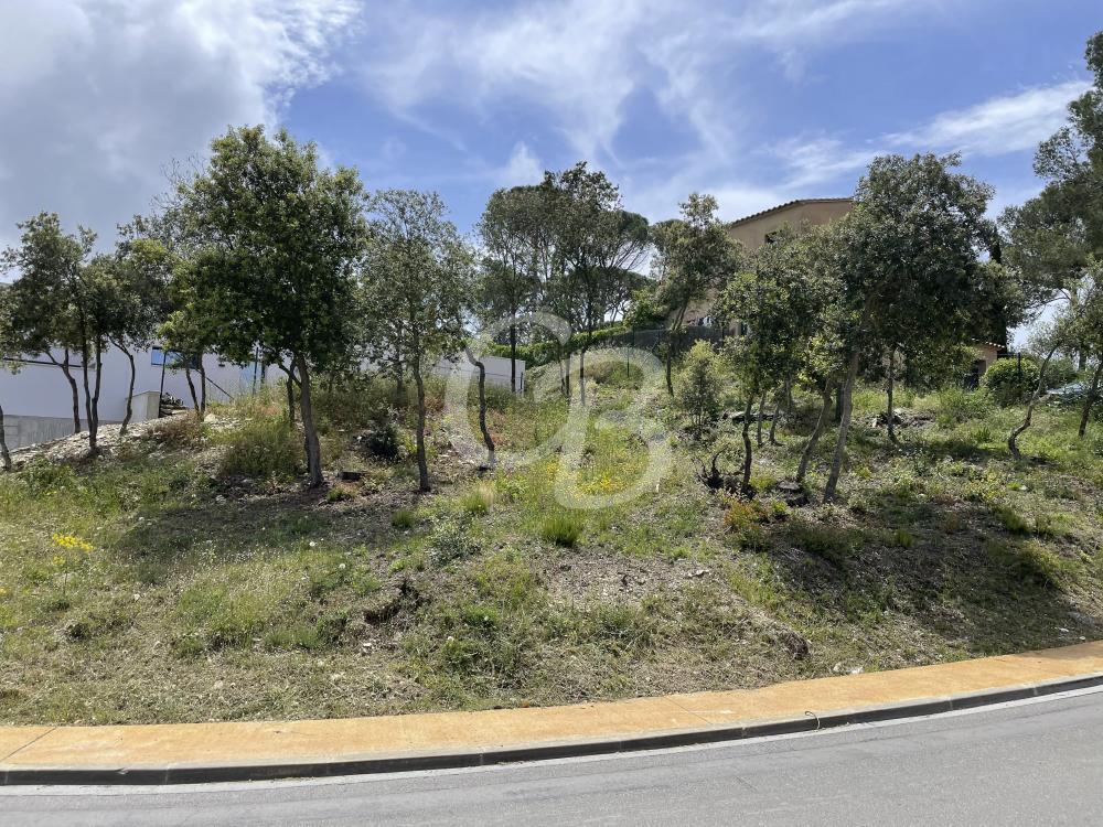 T157 TERRENO EDIFICABLE EN BEGUR Terreno  Begur