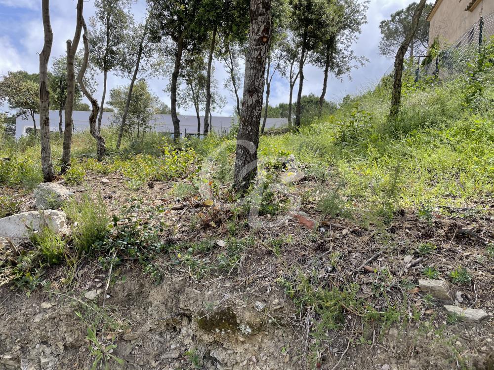 T157 TERRENO EDIFICABLE EN BEGUR Terreno  Begur