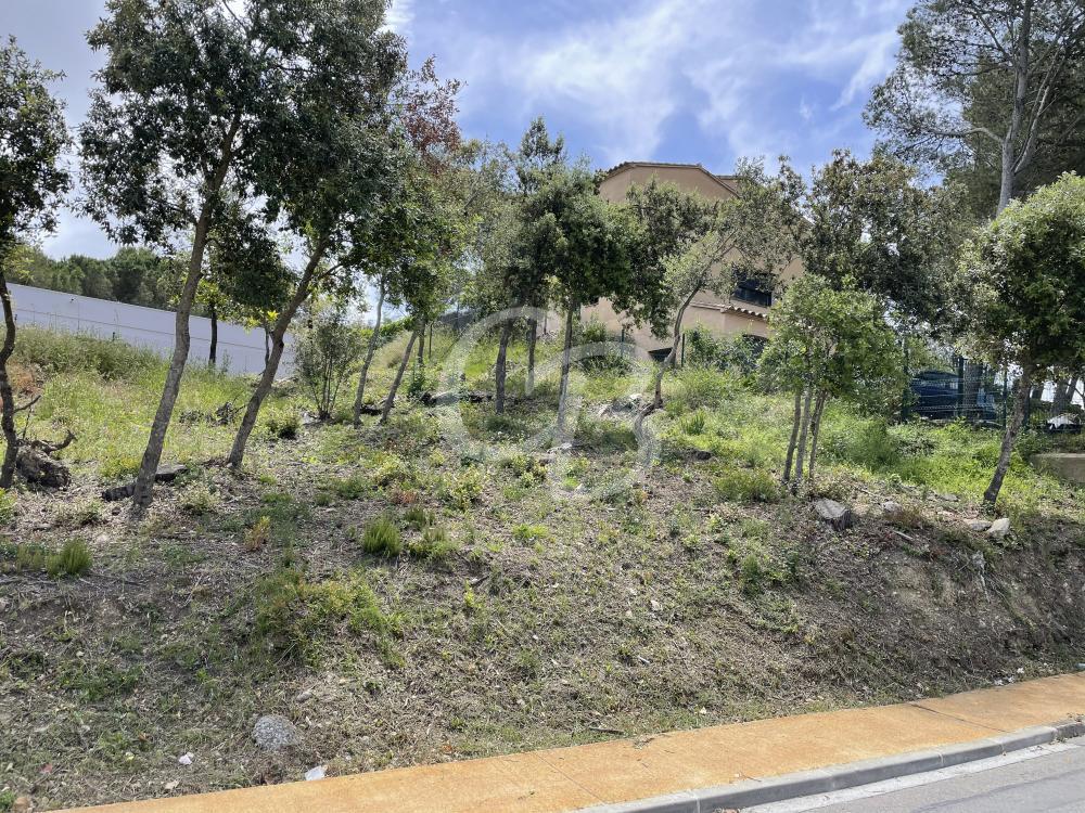 T157 TERRENO EDIFICABLE EN BEGUR Terreno  Begur