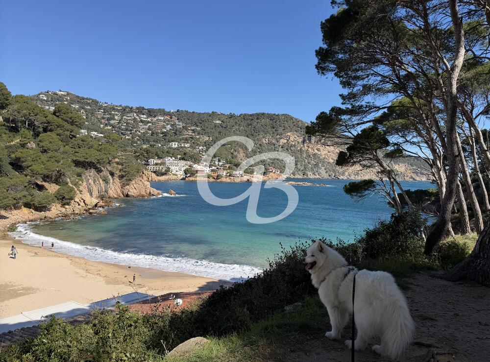 220 PRECIOSO APARTAMENTO CON VISTAS AL MAR Y PISCINA EN AIGUABLAVA Apartamento Aiguablava Begur