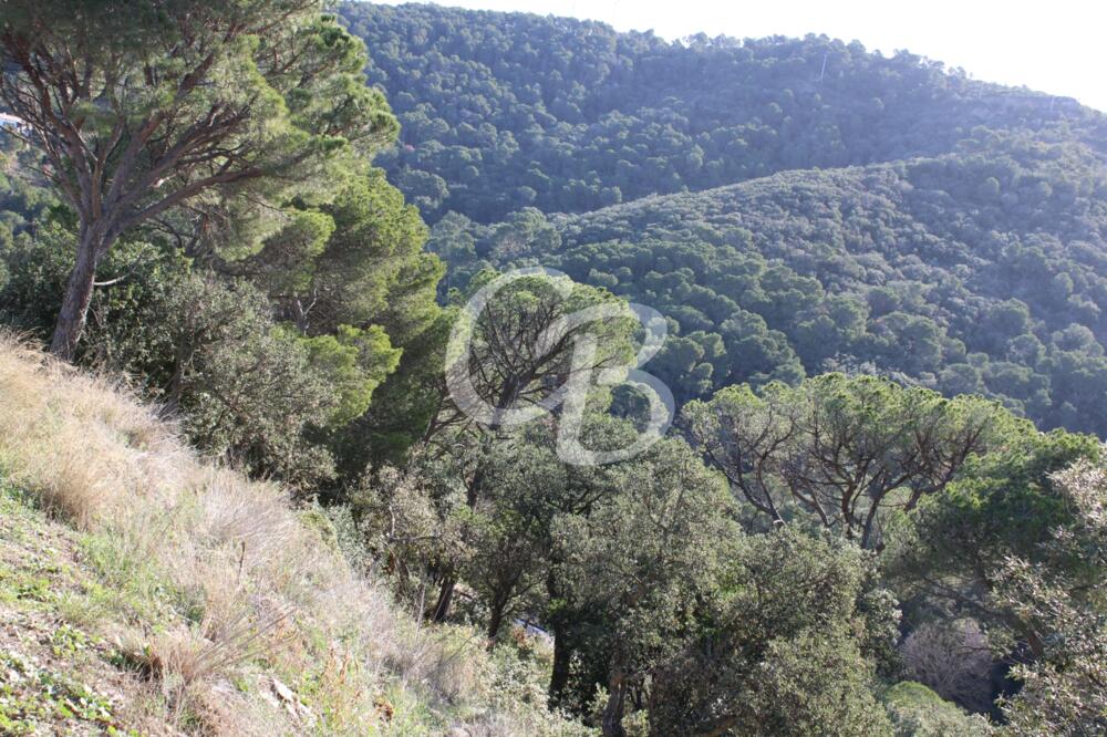 T169 TERRENYS EN VENDA A LA ZONA DE ES VALLS PER A LA CONSTRUCCIÓ DE CASES INDIVIDUALS Terreno Es Valls Begur