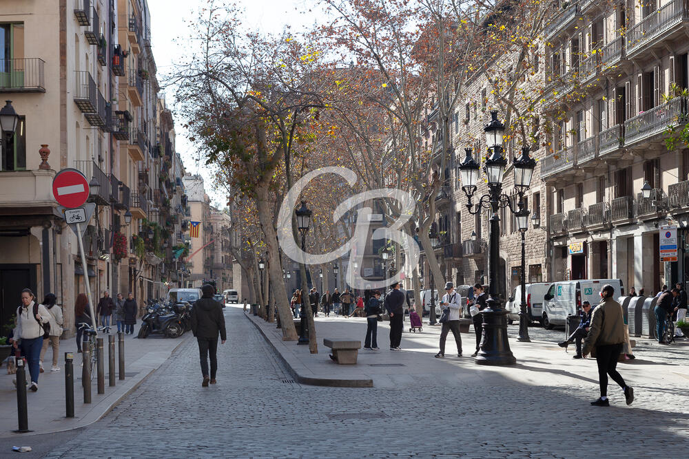 2179 ENCANTADOR PIS  A BARCELONA SITUAT A LA ZONA DEL BORN Piso El Raval Barcelona
