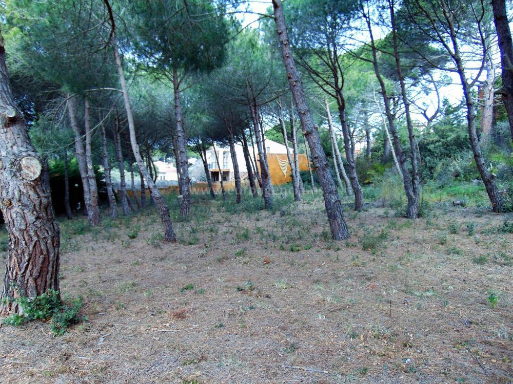 309 MAS DAVID Terreno Sant Antoni de Calonge 309 MAS DAVID Terreno Sant Antoni de Calonge