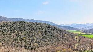 704 LA VALL DE BIANYA Casa aislada / Villa  Vall de Bianya (La)