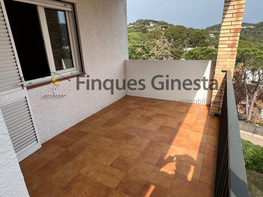 340 Apart. Orenetas Apartamento  Llafranc
