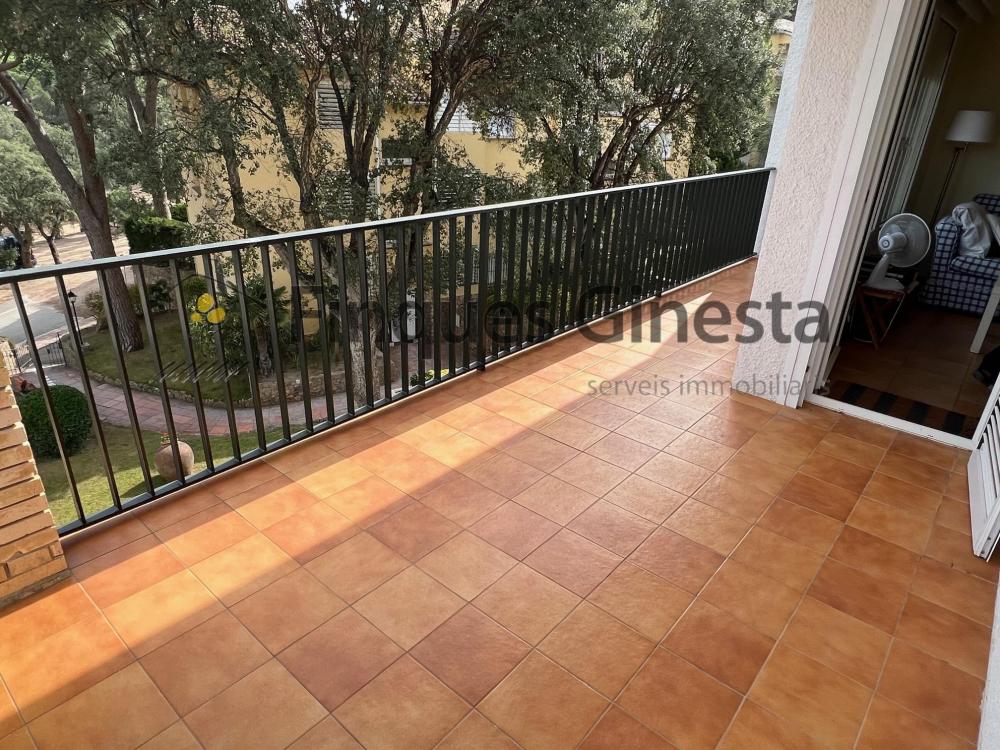 340 Apart. Orenetas Apartamento  Llafranc