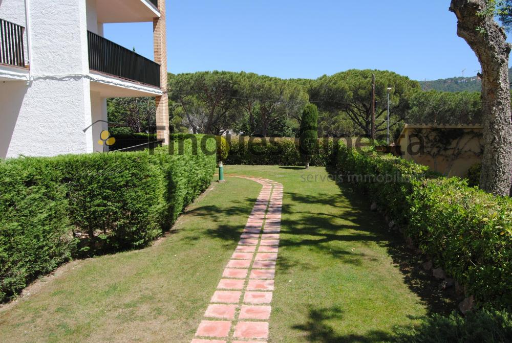 340 Apart. Orenetas Apartamento  Llafranc