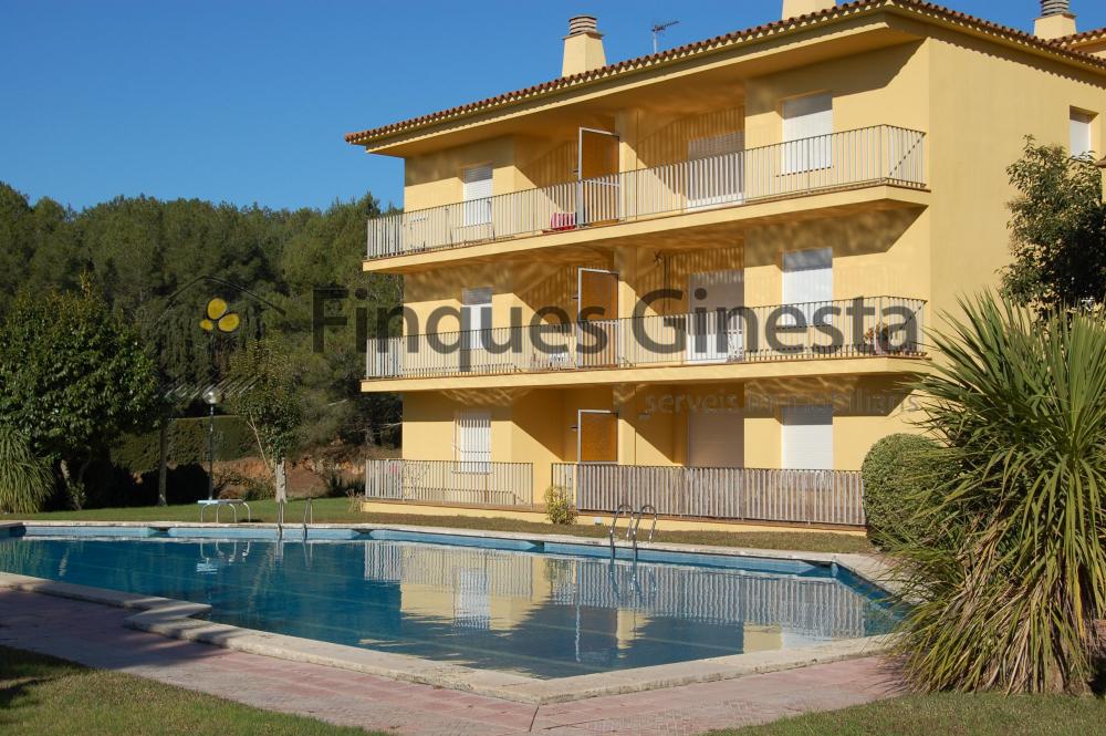 1306 Apart. Cenit Appartement Llafranc Llafranc 1306 Apart. Cenit Appartement Llafranc Llafranc