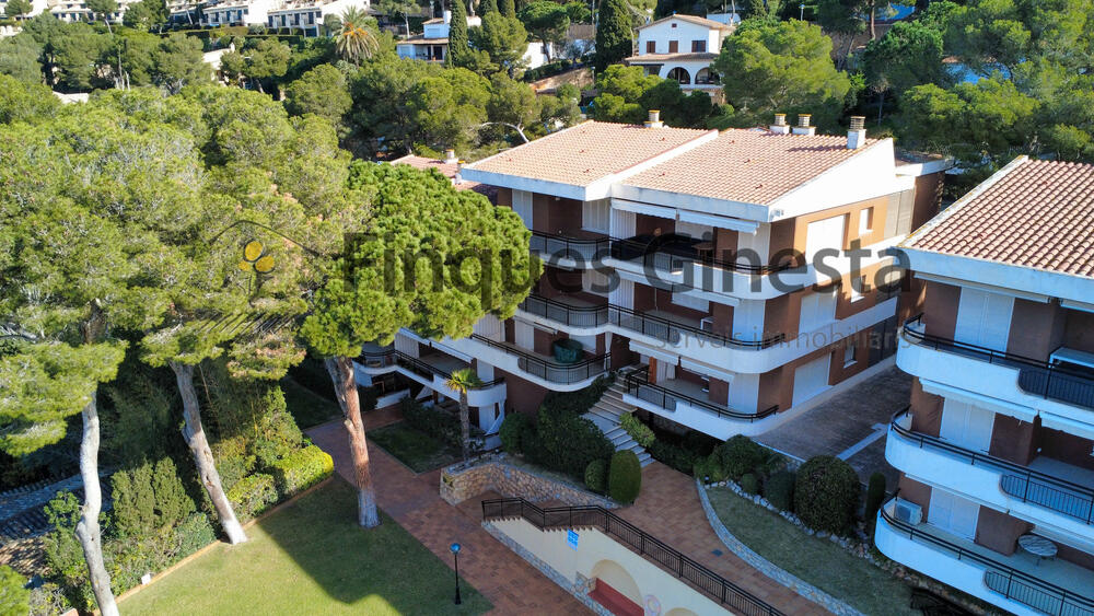 1315 Apart. Sa Llum bjs. Appartement Llafranc 1315 Apart. Sa Llum bjs. Appartement Llafranc