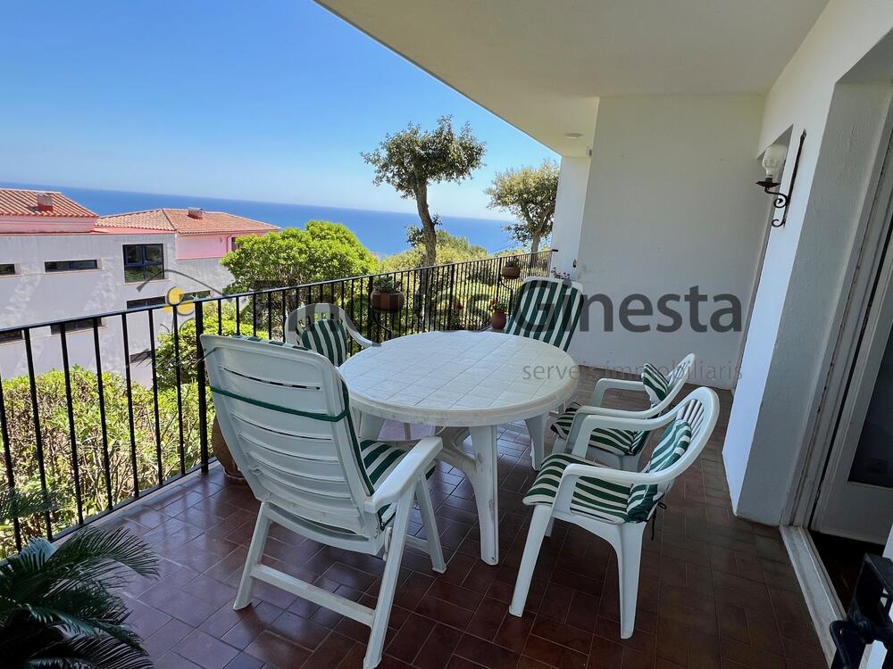 1501 Apart. Puig Calella Appartement Calella de Palafrugell 1501 Apart. Puig Calella Appartement Calella de Palafrugell