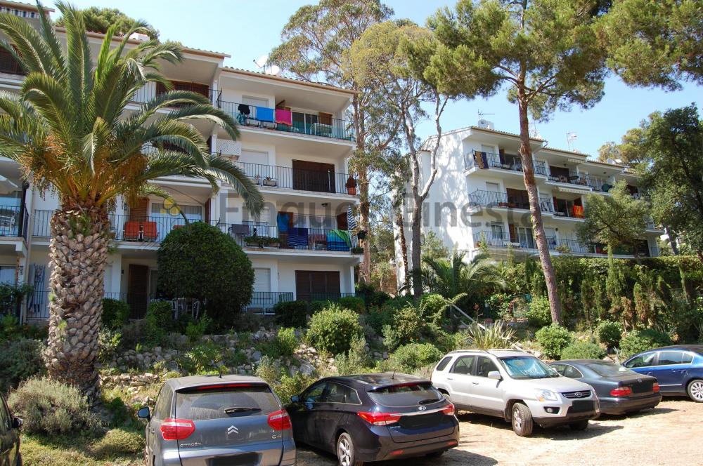 501 Apartamento Carabela Apartamento El Golfet Calella de Palafrugell 501 Apartamento Carabela Apartamento El Golfet Calella de Palafrugell