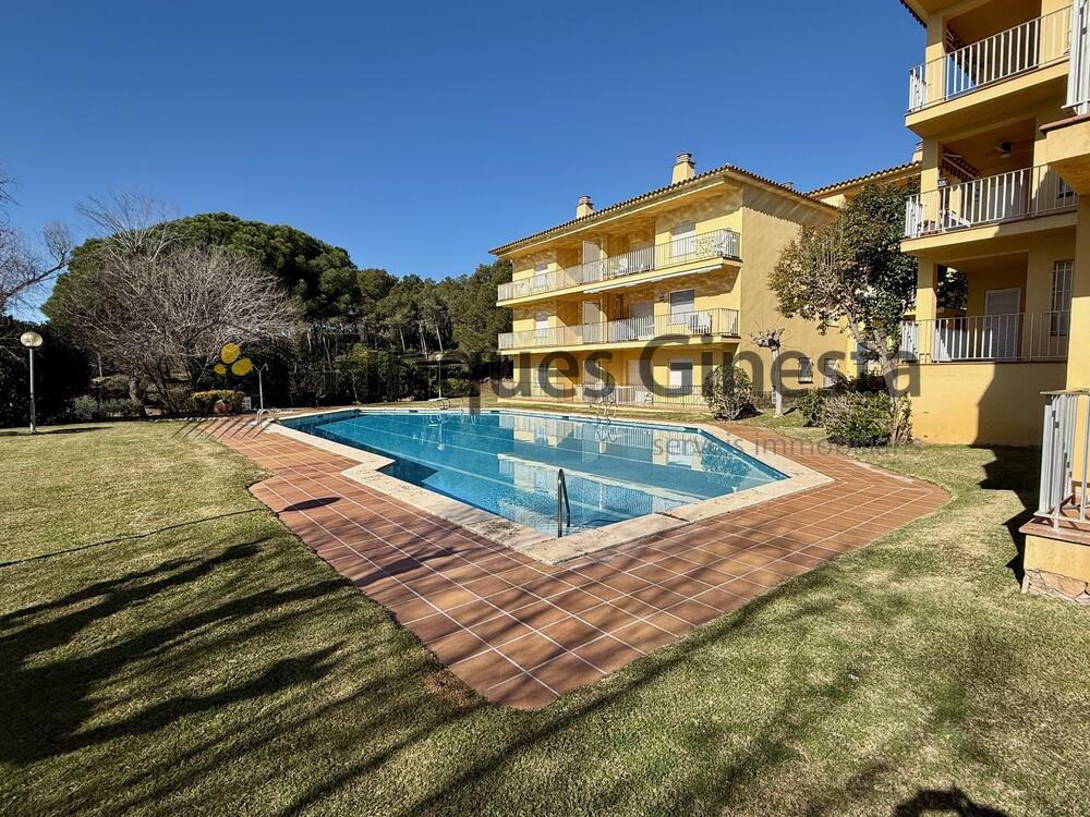 334 Apartamento Cenit Bjs Apartamento Llafranc Llafranc